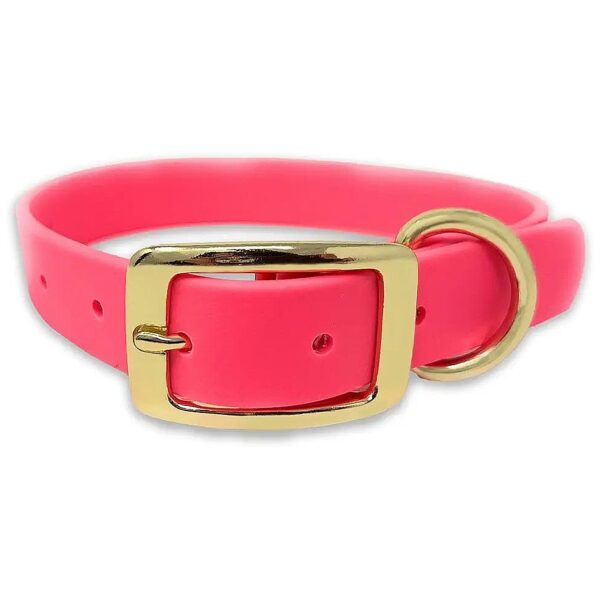 Waterproof Dog Collar with Comfortable Design for Small, Medium, and Large Breed Dogs