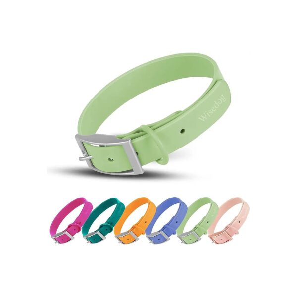 Waterproof Dog Collar with Soft Rubber Coating for Medium Dogs