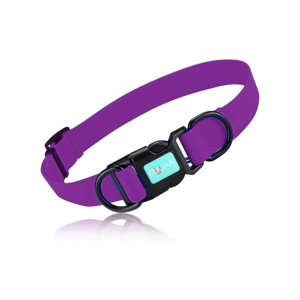 Waterproof Dog Collars for Small Medium Large Dogs with Purple Color