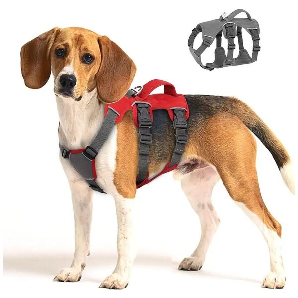 Waterproof Dog Harness for Large Dogs with Adjustable Buckles and Straps