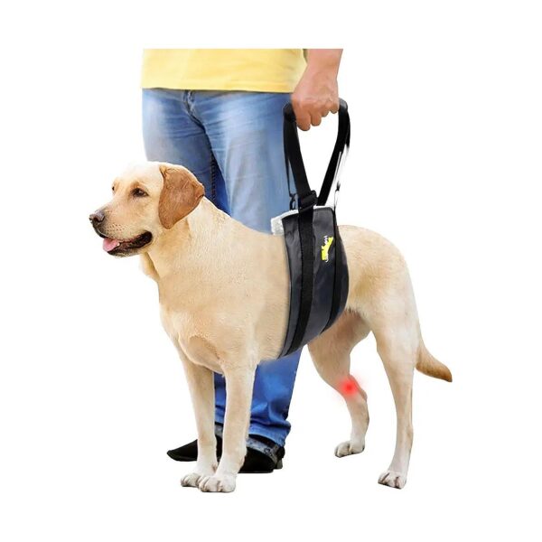 Waterproof Dog Lift Harness for Small Old Dogs with Joint Damage Relief