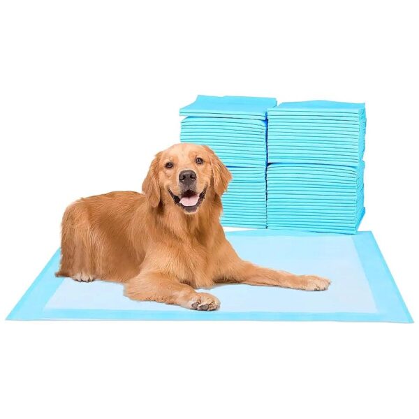 Waterproof Dog Training Pads with Built-In Attractant for Happy Puppies