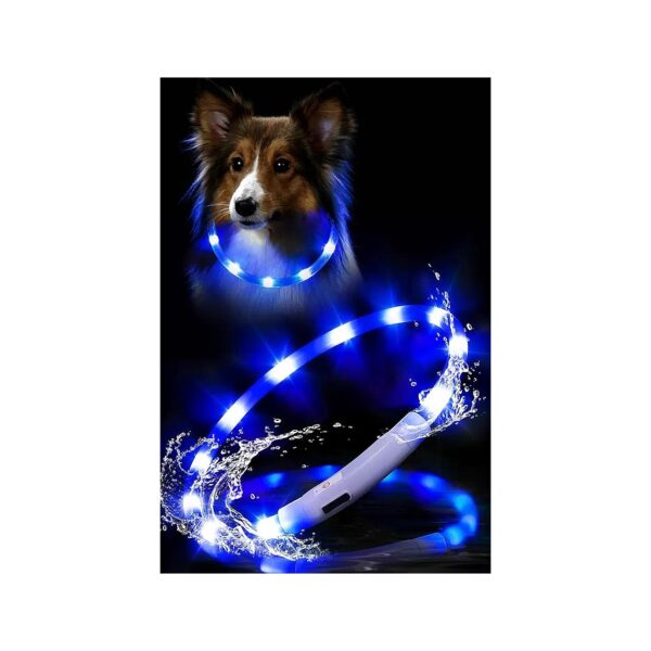 Waterproof Glow Dog Collar for Small Medium Large Dogs with Easy USB Recharging