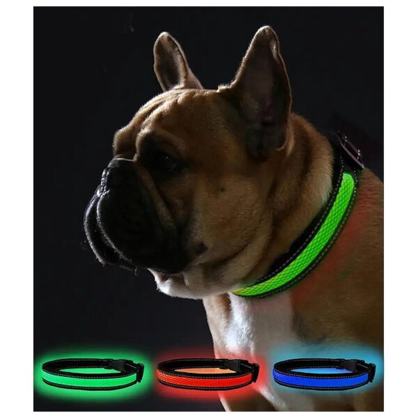 Waterproof Green XS Led Dog Collar for Safe Nighttime Jogging and Running with Your Dog