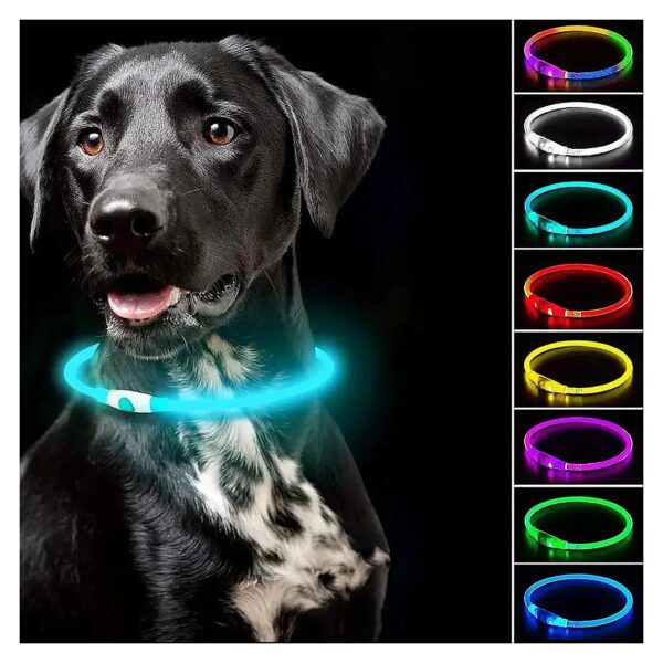 Waterproof Multicolor LED Dog Collar with 7 Colors and Adjustment Options