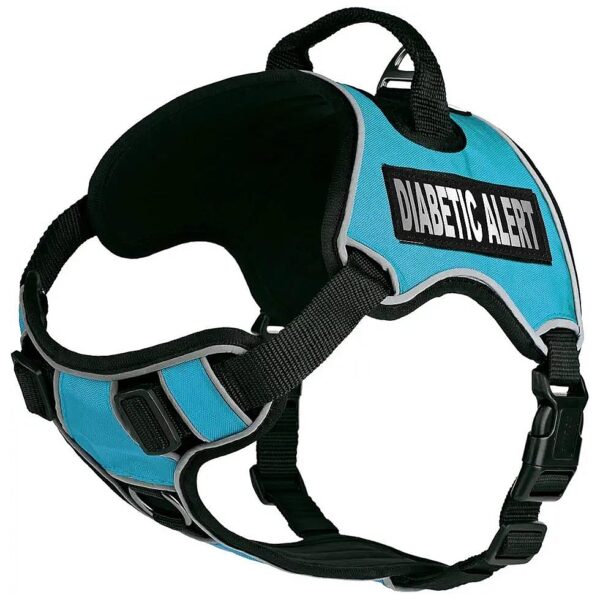 Waterproof No-Pull Dog Harness with Reflective Trim and Easy Clean Design for Active Dogs