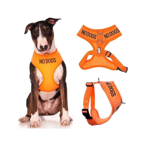 Waterproof Non-Pull Dog Harness with Orange Colour Coded Warning for Large Dogs