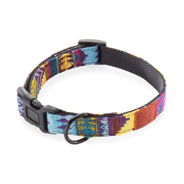 Waterproof Nylon Dog Collar with Rust-Resistant Metal Buckle for Dogs of All Sizes