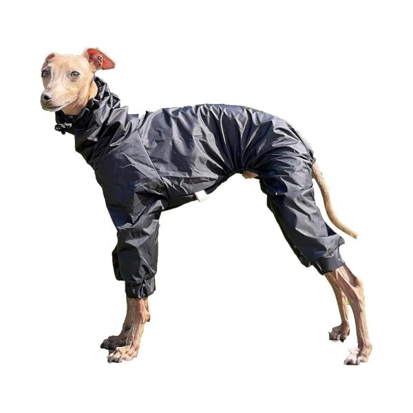 Waterproof Raincoat Windbreaker Jacket for Italian Greyhound Whippet Dogs Medium Size