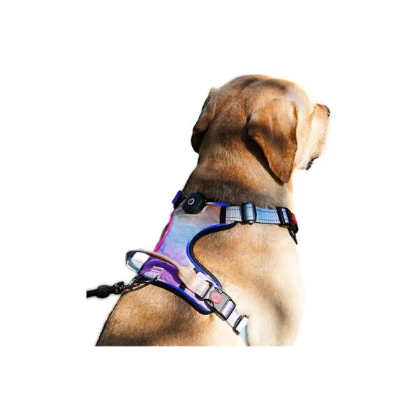 Waterproof Reflective LED Light Up Dog Harness for Pet Night Safety Walking