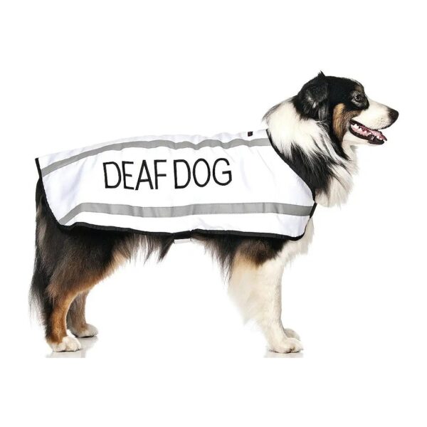 Waterproof Reflective White Dog Coats Warn Others of Limited Hearing or Deaf Dogs