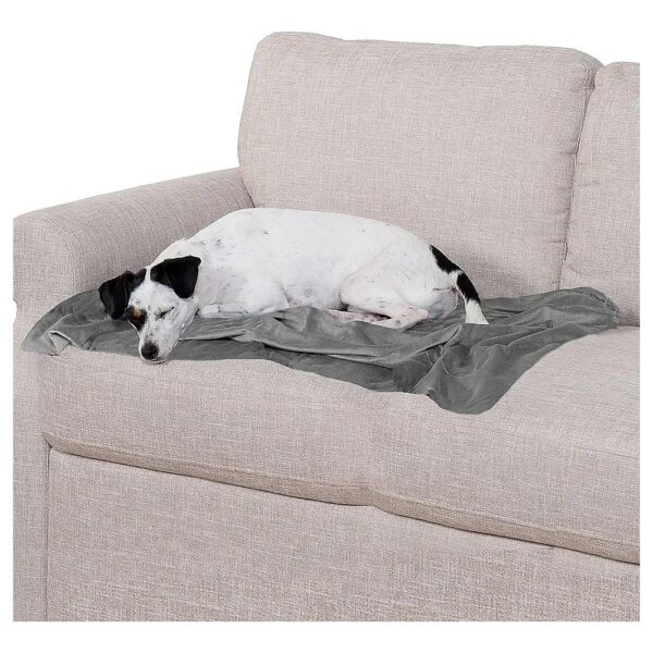 Waterproof Velvet Dog Blanket for Indoor Dogs & Cats with Luxe Granite Gray Finish