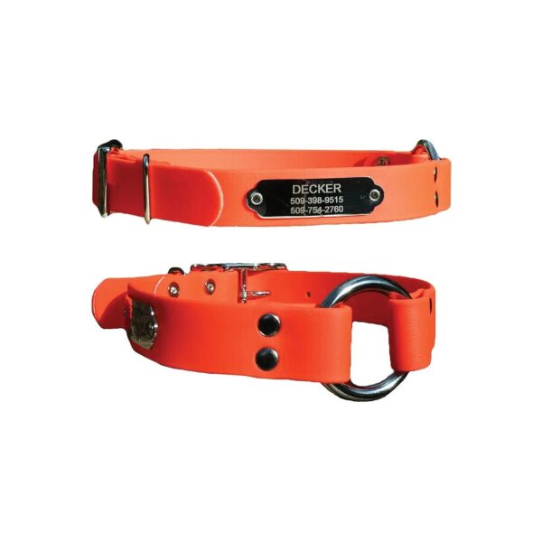 Waterproof and Odor Resistant Orange Dog Collar with Customized Stainless Steel Nameplate