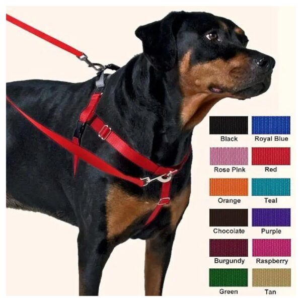 Wearable for Long Walks No Pull Harness in Large Raspberry Solid XL 1 Inch Wide