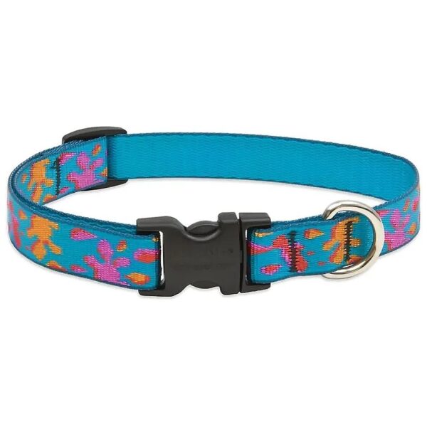 Wet Paint Adjustable Collar for Medium to Large Dogs with Nylon Material