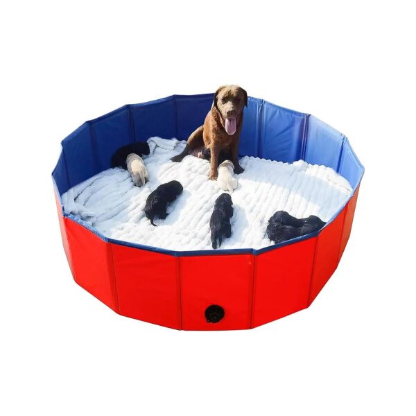 Whelping Pool for Dogs and Puppies with Ball Pit and Bathing Capabilities