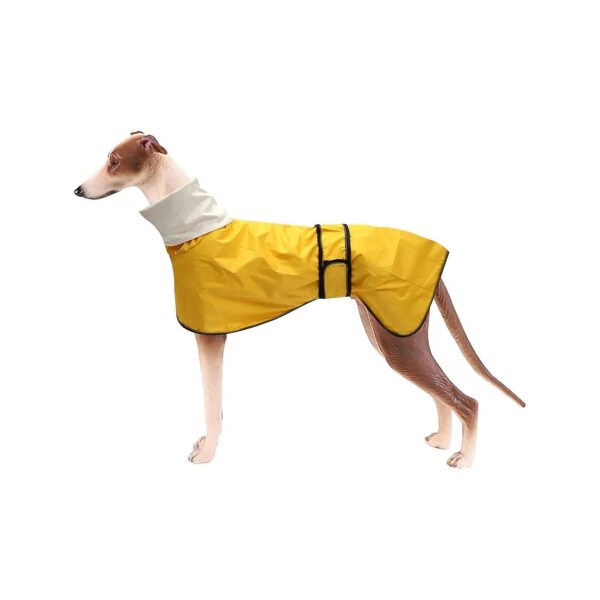 Whippet Dog Raincoat Medium Size Waterproof Adjustable Reflective Greyhound