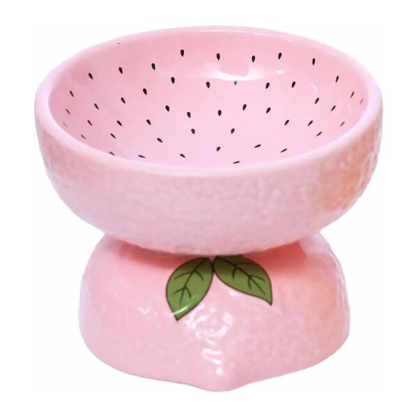 Whisker Friendly Ceramic Cat Bowl for Flat-Faced Cats and Kittens