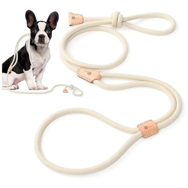 White Dog Leash for Small Puppies and Breeds and Training