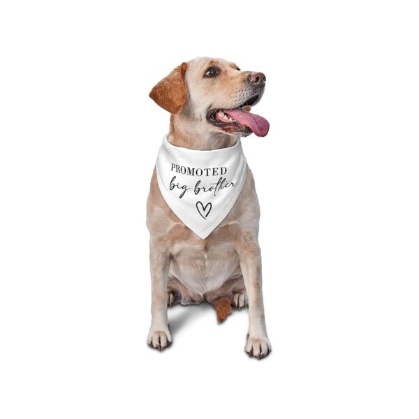 White Soft Reversible Dog Bandana for Pet Photo Props and Gift