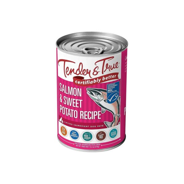 Wild-Caught Salmon and Sweet Potato Recipe Wet Dog Food for Young Adults