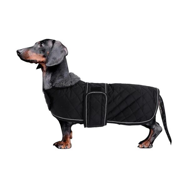 Winter Dog Coat with Contoured Shape for Dachshunds and Similar Breeds