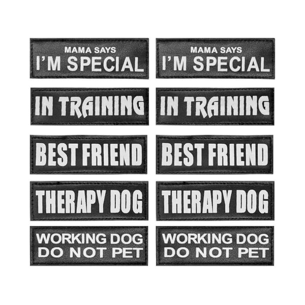 Working Dog and Therapy Dog Identification Patches for Dog Leashes and Collars