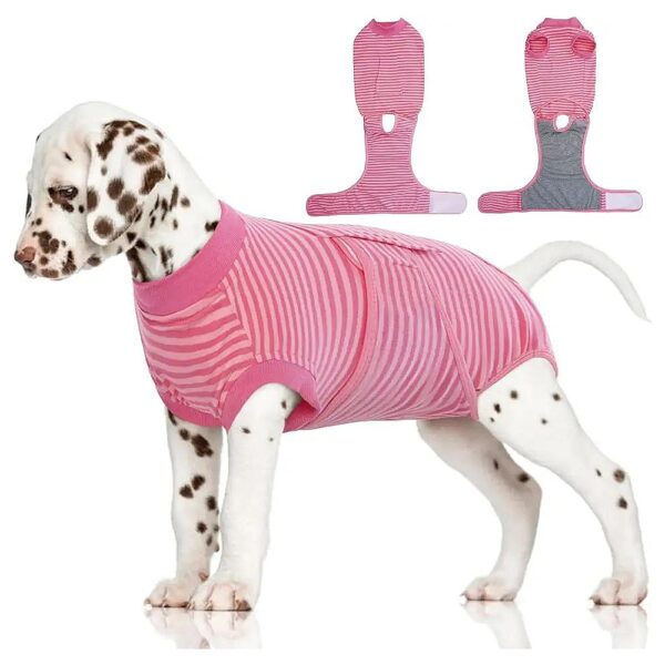 Wound-Proof Rose Striped Dog Onesie for Comfortable Surgical Suit Recovery