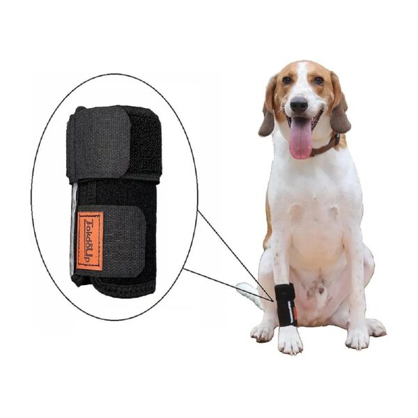 Wrist Joint Support for Dog and Cat Back and Front Legs with Arthritis