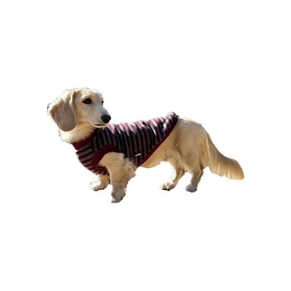 XL Dachshund Sweater Lining Napping Stripe T Shirts for Dogs with Stretchable Soft Fleece