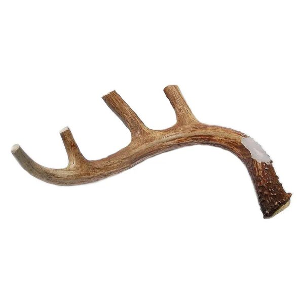 XL Deer Antler Dog Chews for Puppy and Large Dog Owners - Sanitized for Safety