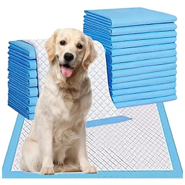 XL Pet Training Pads with Fast Absorption and Waterproof Bottom for Large Dogs and Cats