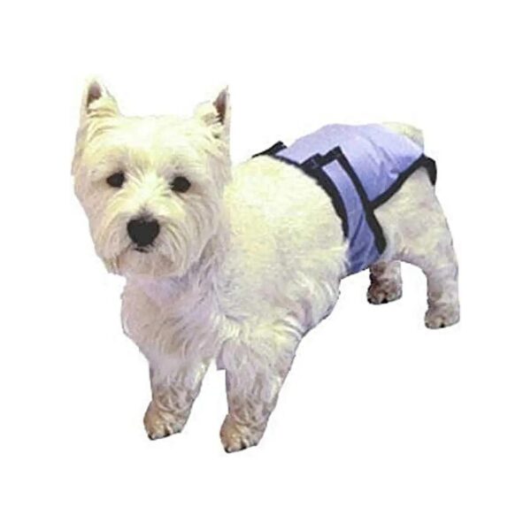 X-Large PoochPants Reusable Diaper for Heavy Dogs that Wash Well