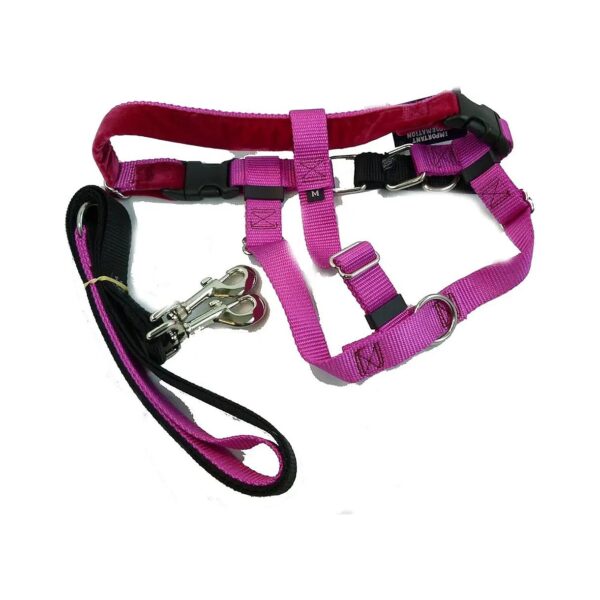 X-Large Raspberry Nylon No Pull Harness with Leash for Big Dogs