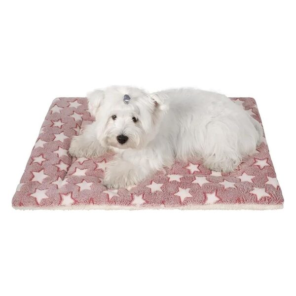 X-Large Soft Flannel Pet Soft Fleece Pad for Puppy Dog Cat - Cozy Sleeping Cover Home Rug