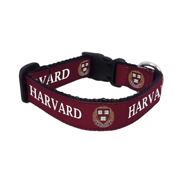 XS Harvard Pattern Dog Collar for Small Breeds with Snap