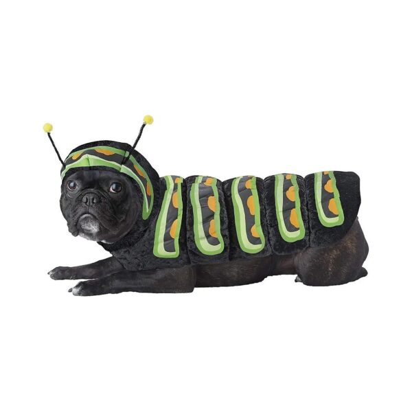 X-Small Dog Caterpillar Costume with Antenna and Body, Orange Color