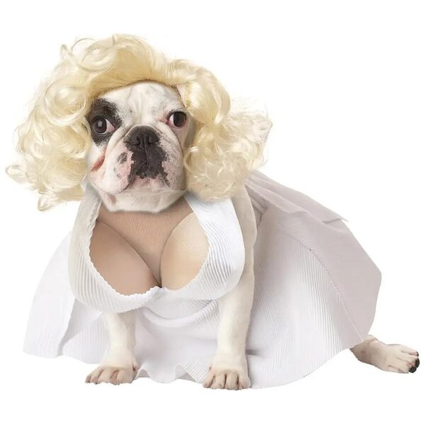 X-Small Dog Costume with Platinum Blonde Wig and Polyester White Dress