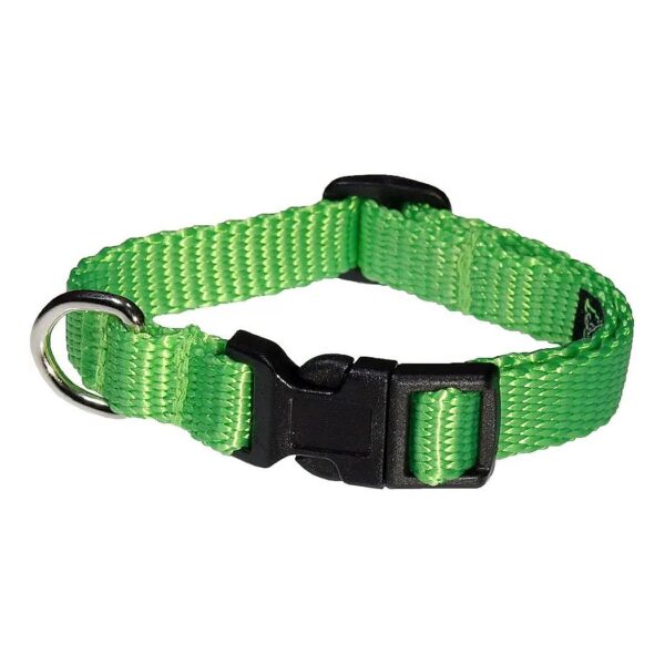 XSmall Neon Green Nylon Webbing Dog Collar Adjustable 6-12 Made in USA