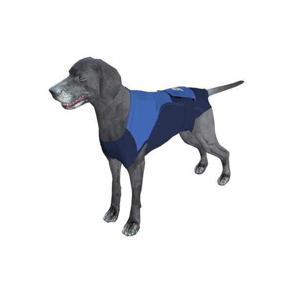 Xtra Large Long Surgical Recovery Dog Suit After Surgery for Large Dogs