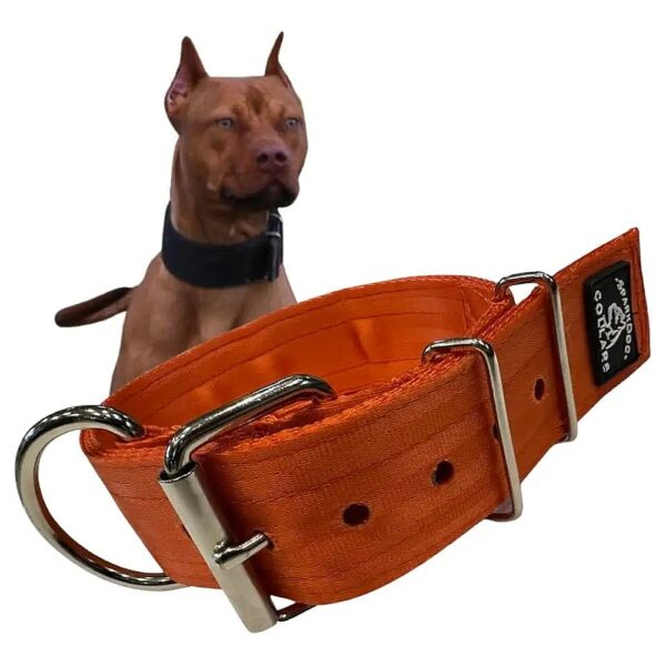 Yellow Orange Dog Collar with Heavy Duty Stainless Steel Hardware for Large Dogs